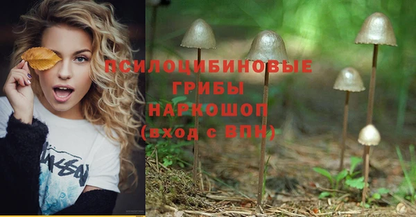 Альфа ПВП Абаза