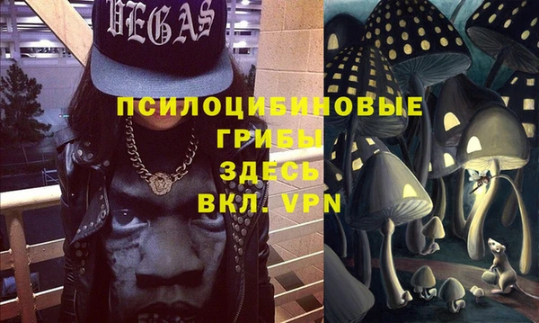 Альфа ПВП Абаза