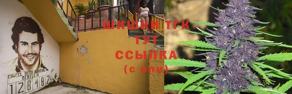 мдма Новодвинск