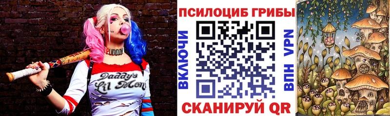 где купить наркоту Тихорецк Псилоцибиновые грибы мицелий